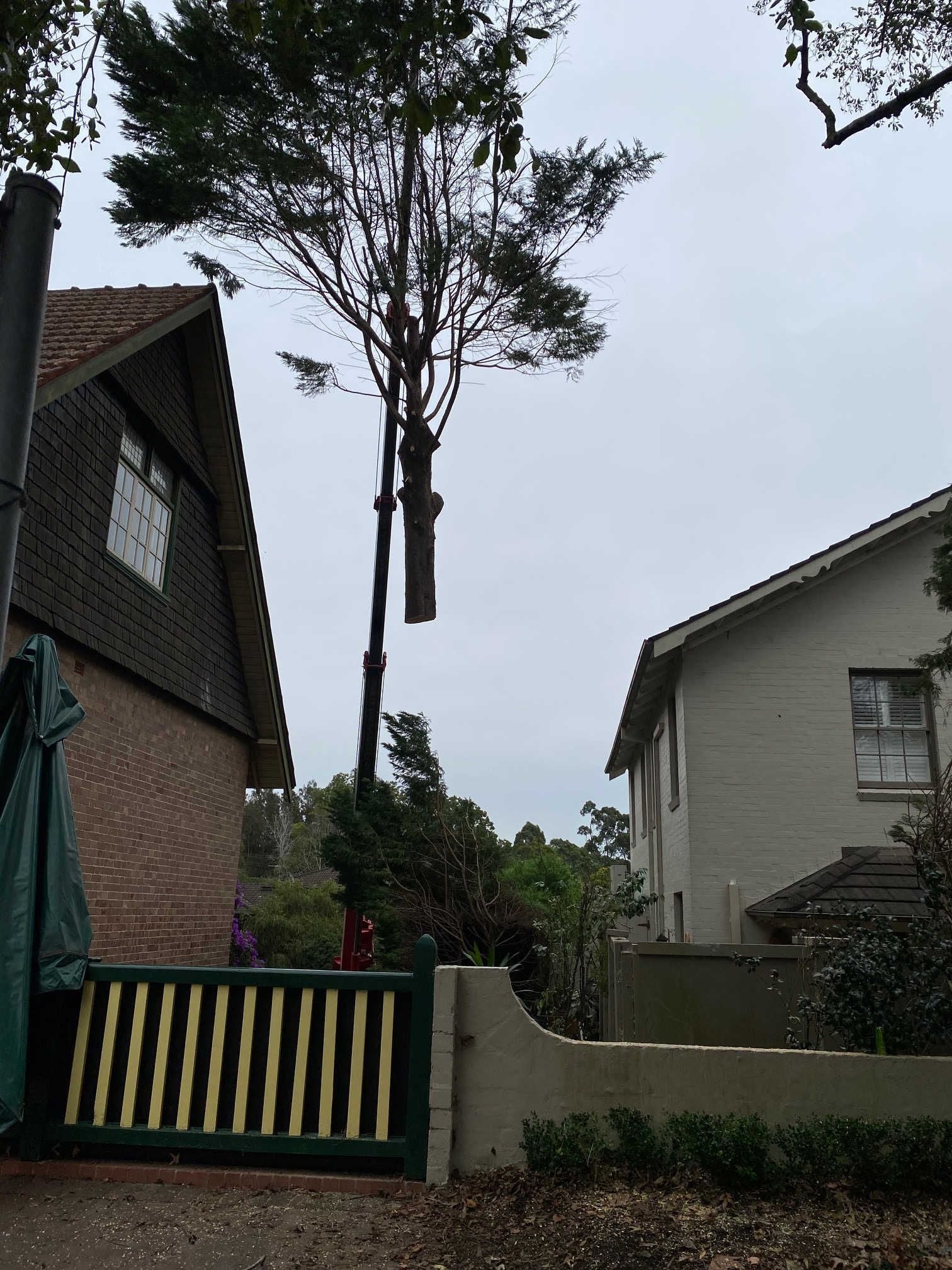 Heritage Related Services Image -5edf113a947e3